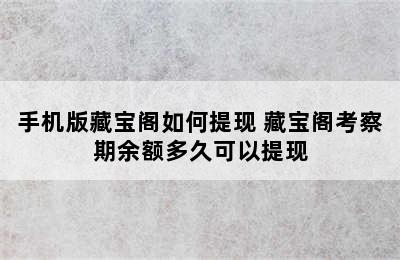 手机版藏宝阁如何提现 藏宝阁考察期余额多久可以提现